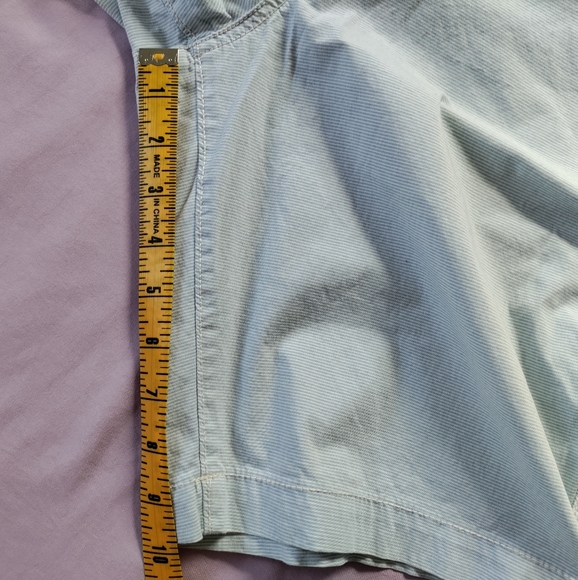 AEO stripped light blue shorts extreme flex classic fit lightweight 30 waist - Picture 6 of 14